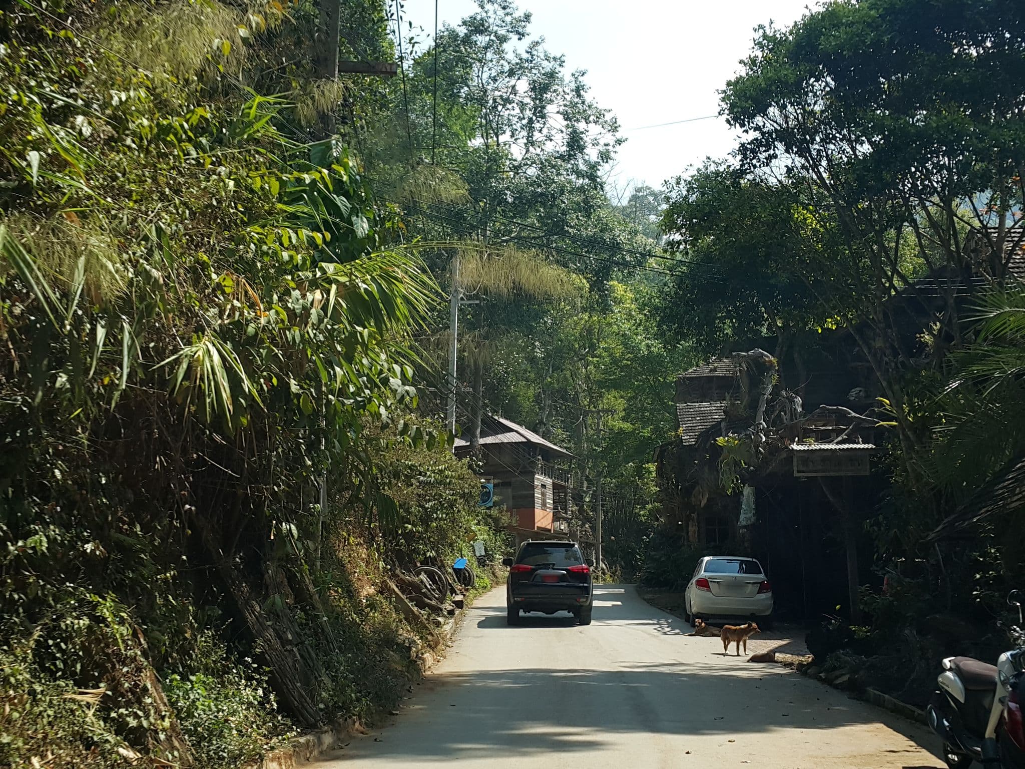Street view near บ้านสายชล โฮมสเตย์, San Kamphaeng — © jrcarlsen (CC BY-SA · Mapillary)