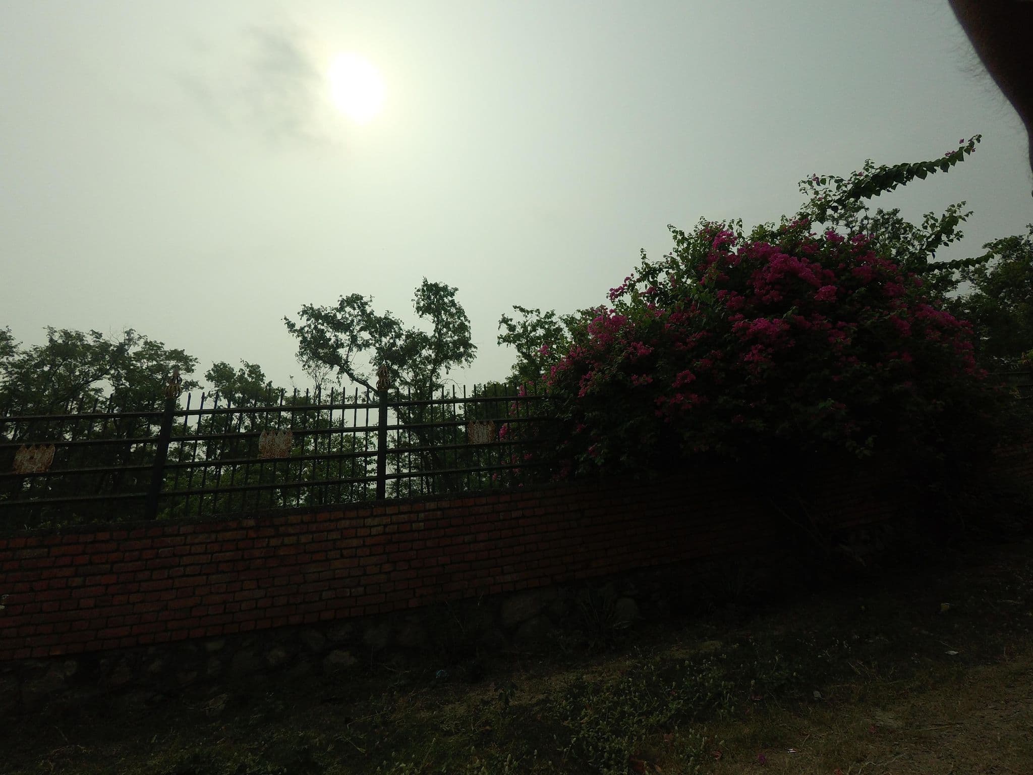 Street view near Green Lumbini View Hotel, Siddharthanagar — © gauravparajuli09 (CC BY-SA · Mapillary)