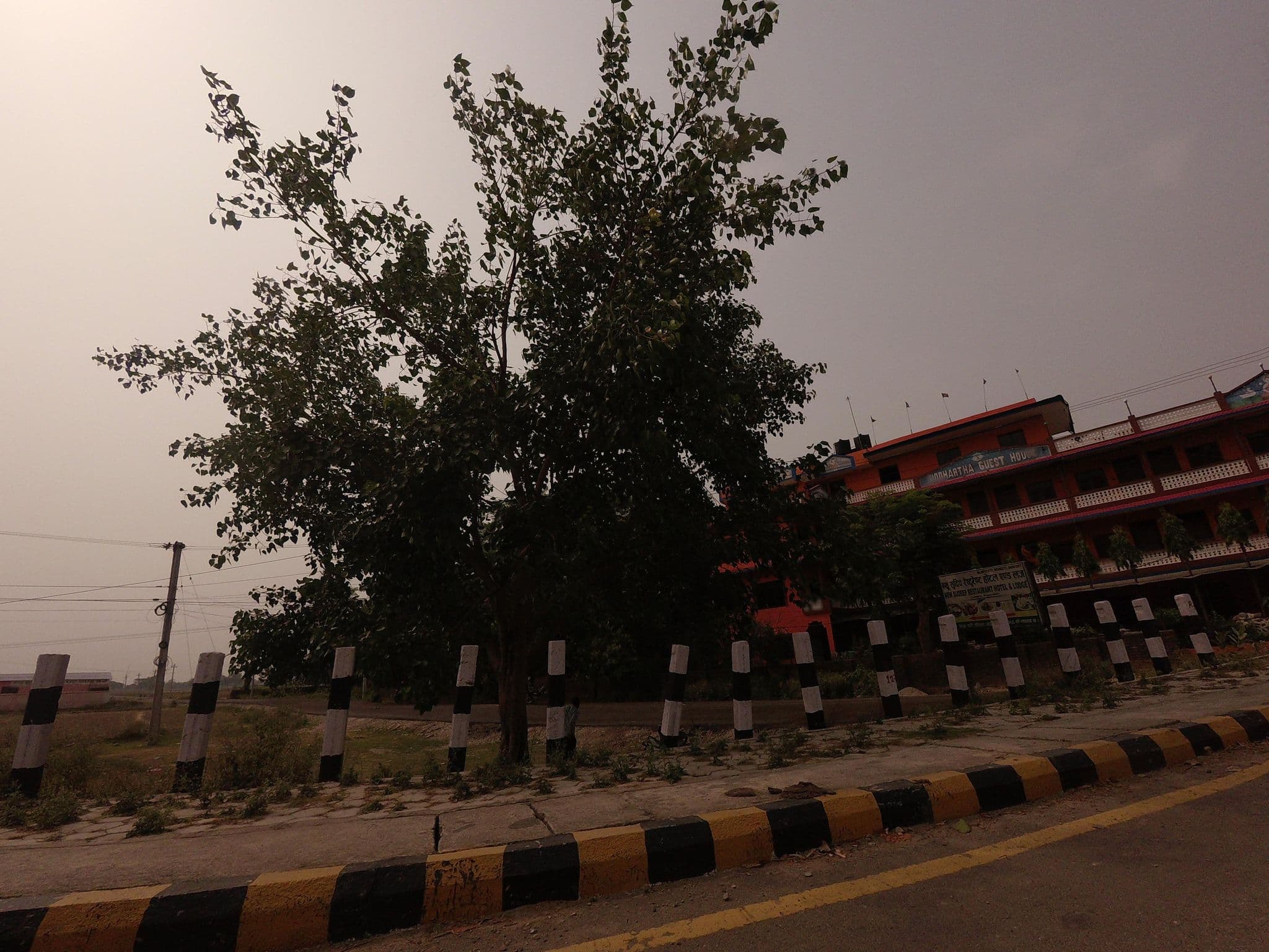 Street view near Siddhartha Guest House, Siddharthanagar — © gauravparajuli09 (CC BY-SA · Mapillary)