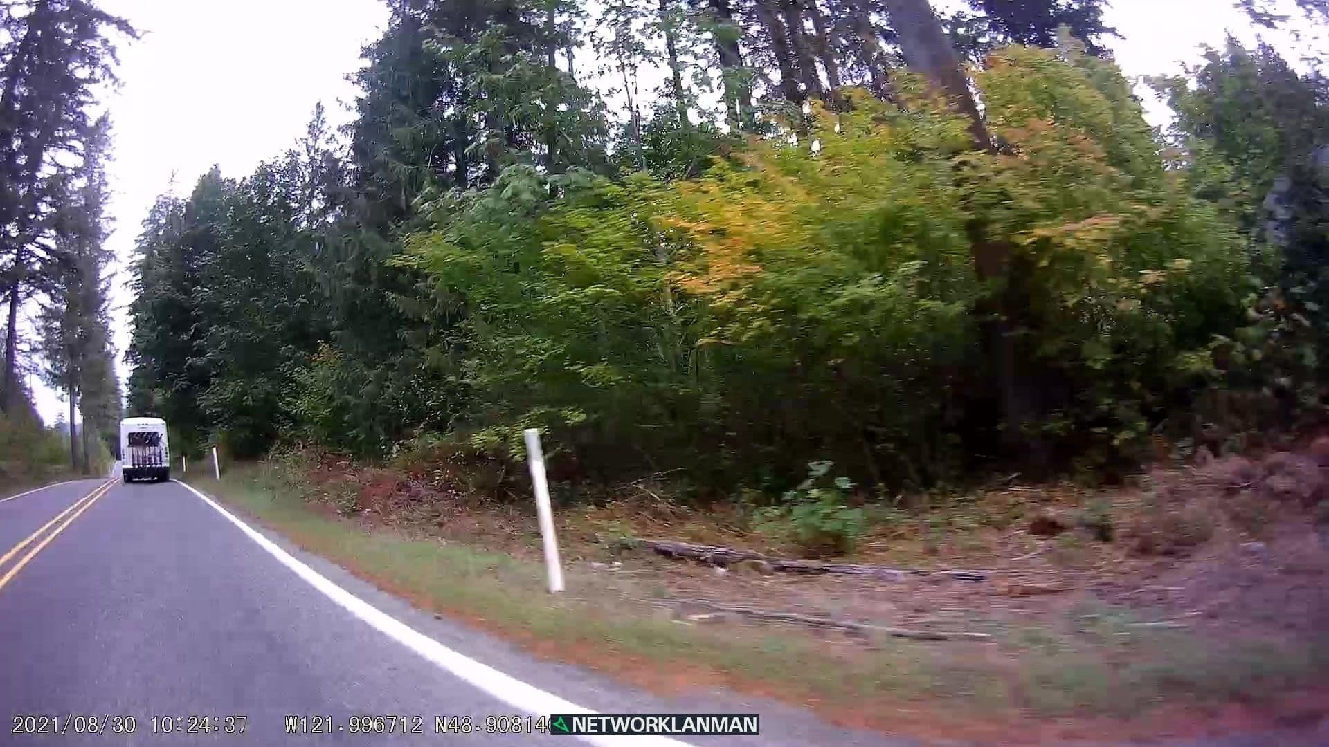 Street view near Glacier Springs Lodge, Peaceful Valley — © networklanman (CC BY-SA · Mapillary)