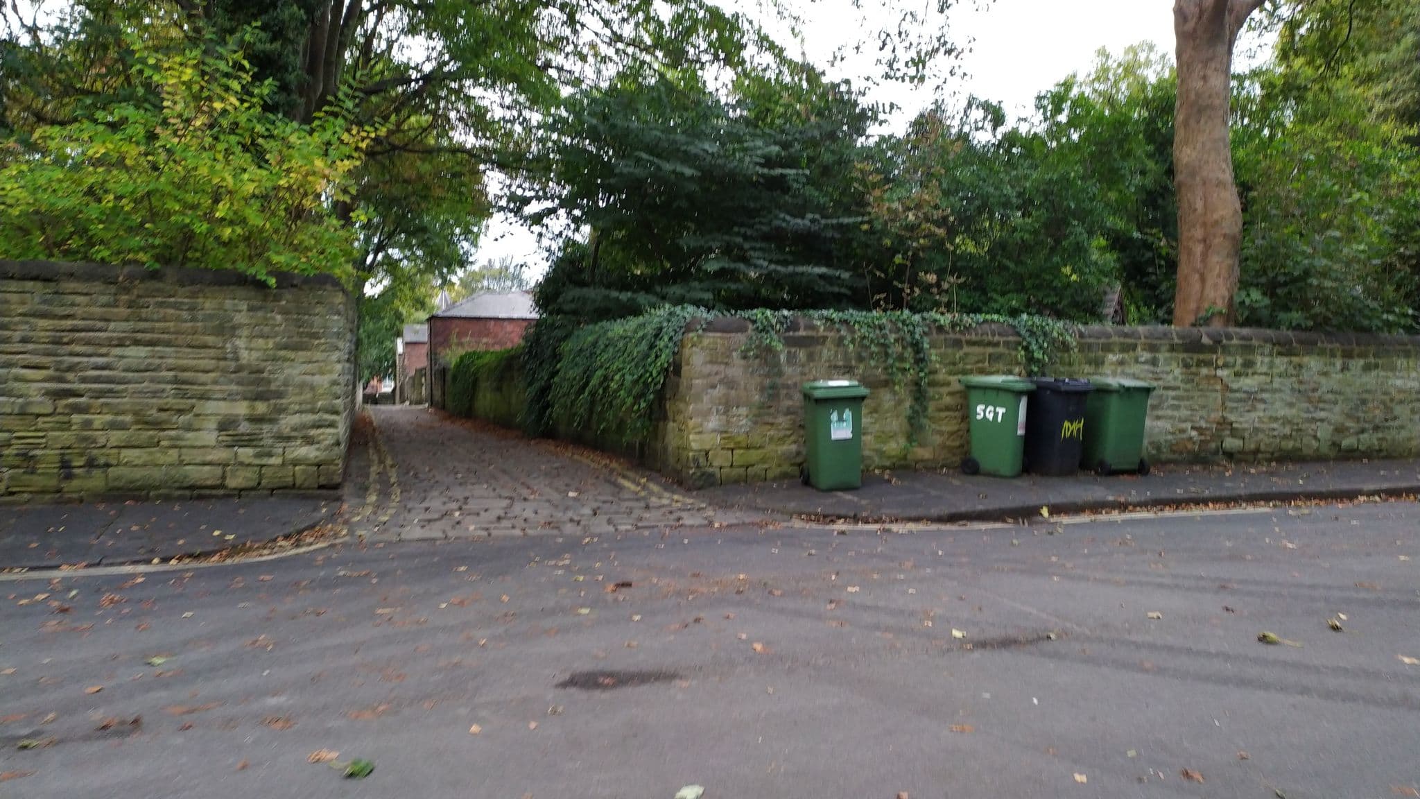 Street view near Rosehurst, Chapel Allerton — © mapz4lolz (CC BY-SA · Mapillary)