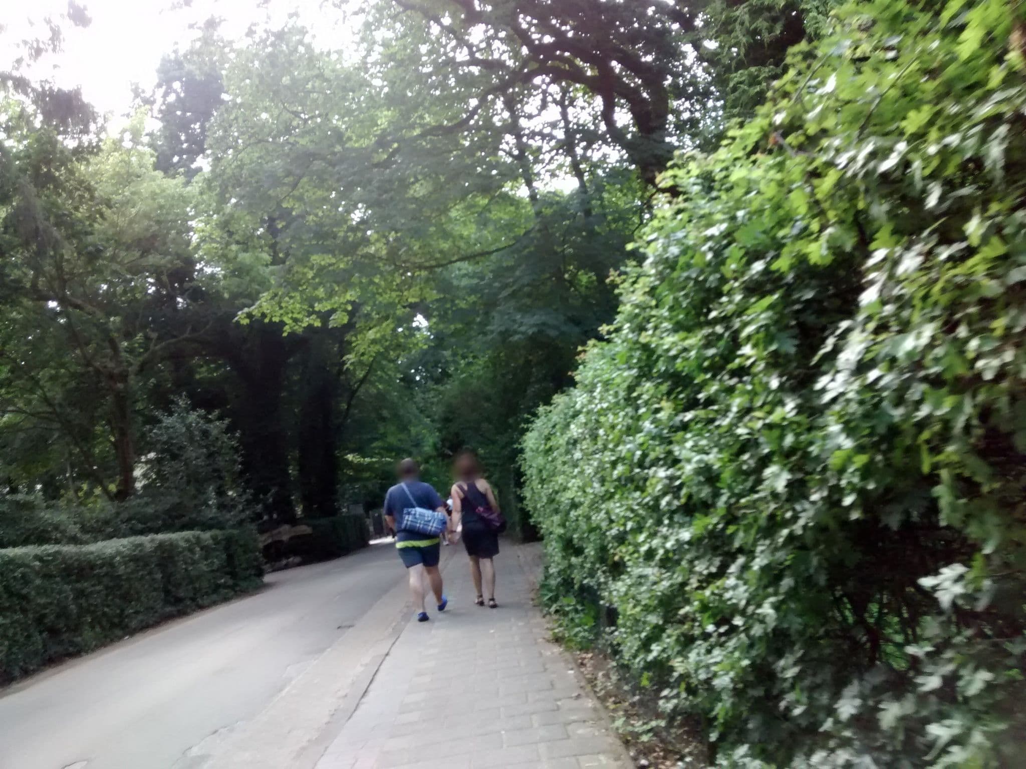 Street view near Strandhus 2, Varel — © 48d9dc (CC BY-SA · Mapillary)