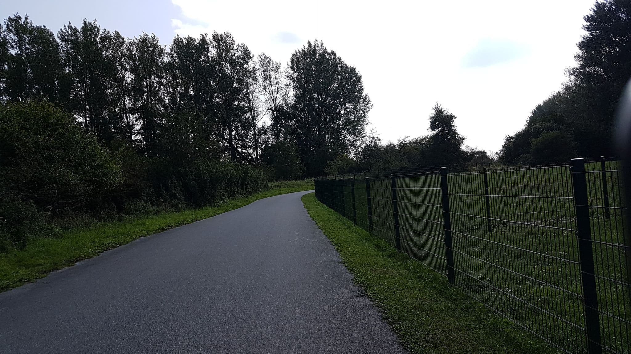 Street view near Ferienhaus 1, Glowe — © snowdiver (CC BY-SA · Mapillary)