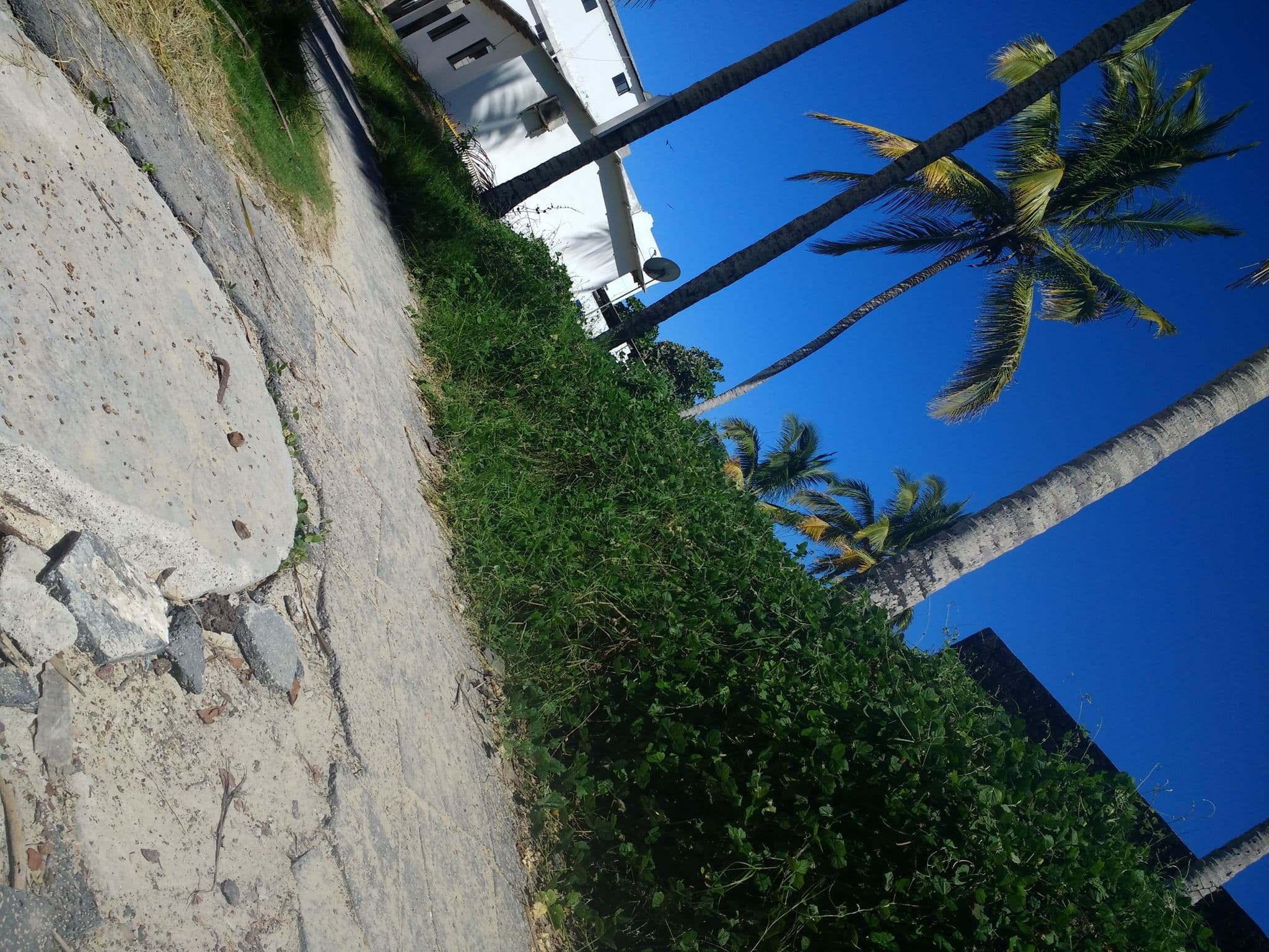 Street view near Coral Blanco, Puerto Villamil — © derfred (CC BY-SA · Mapillary)
