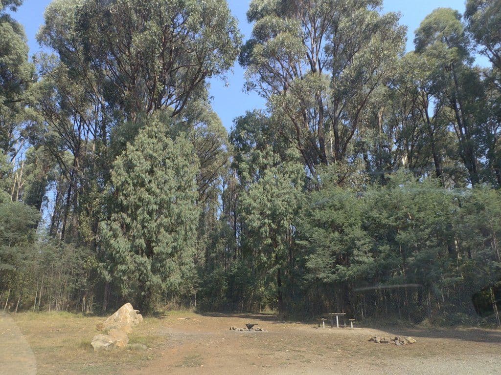 Street view near Anderson Mill camp ground, Healesville — © mander (CC BY-SA · Mapillary)