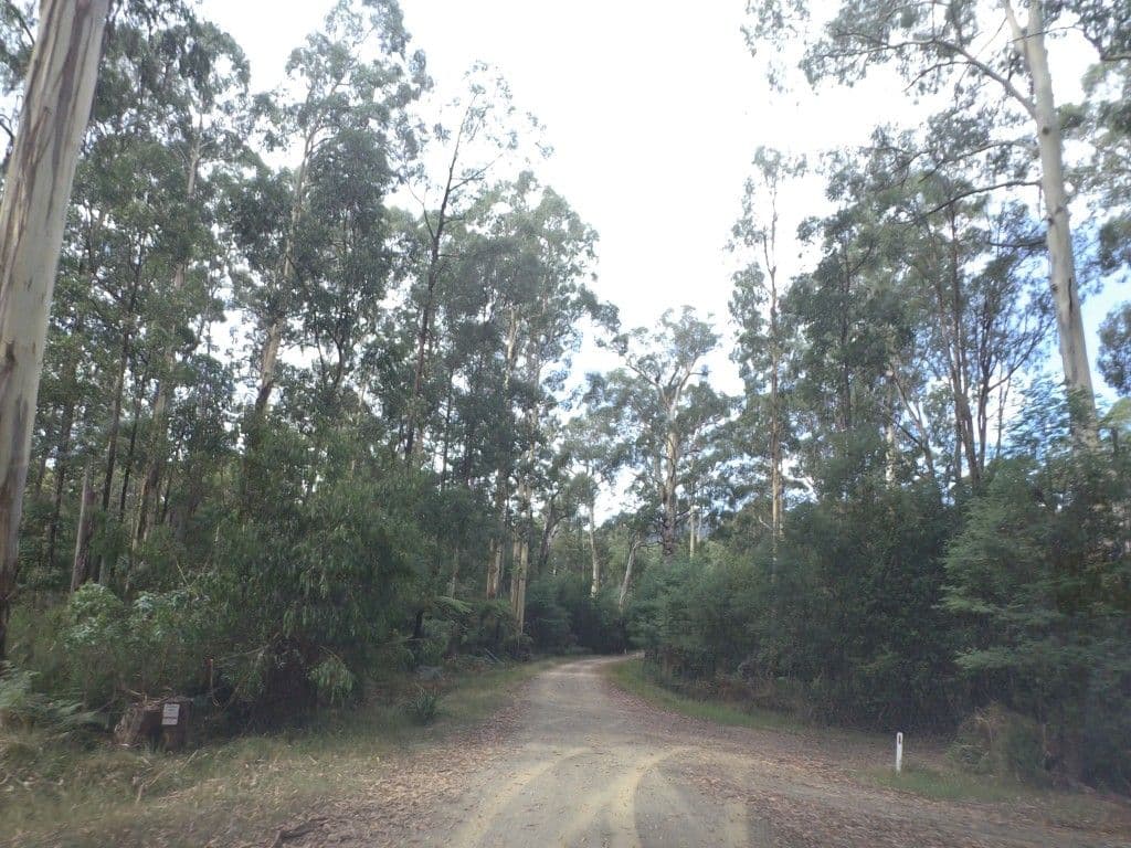 Street view near Acheron Campground, Healesville — © mander (CC BY-SA · Mapillary)