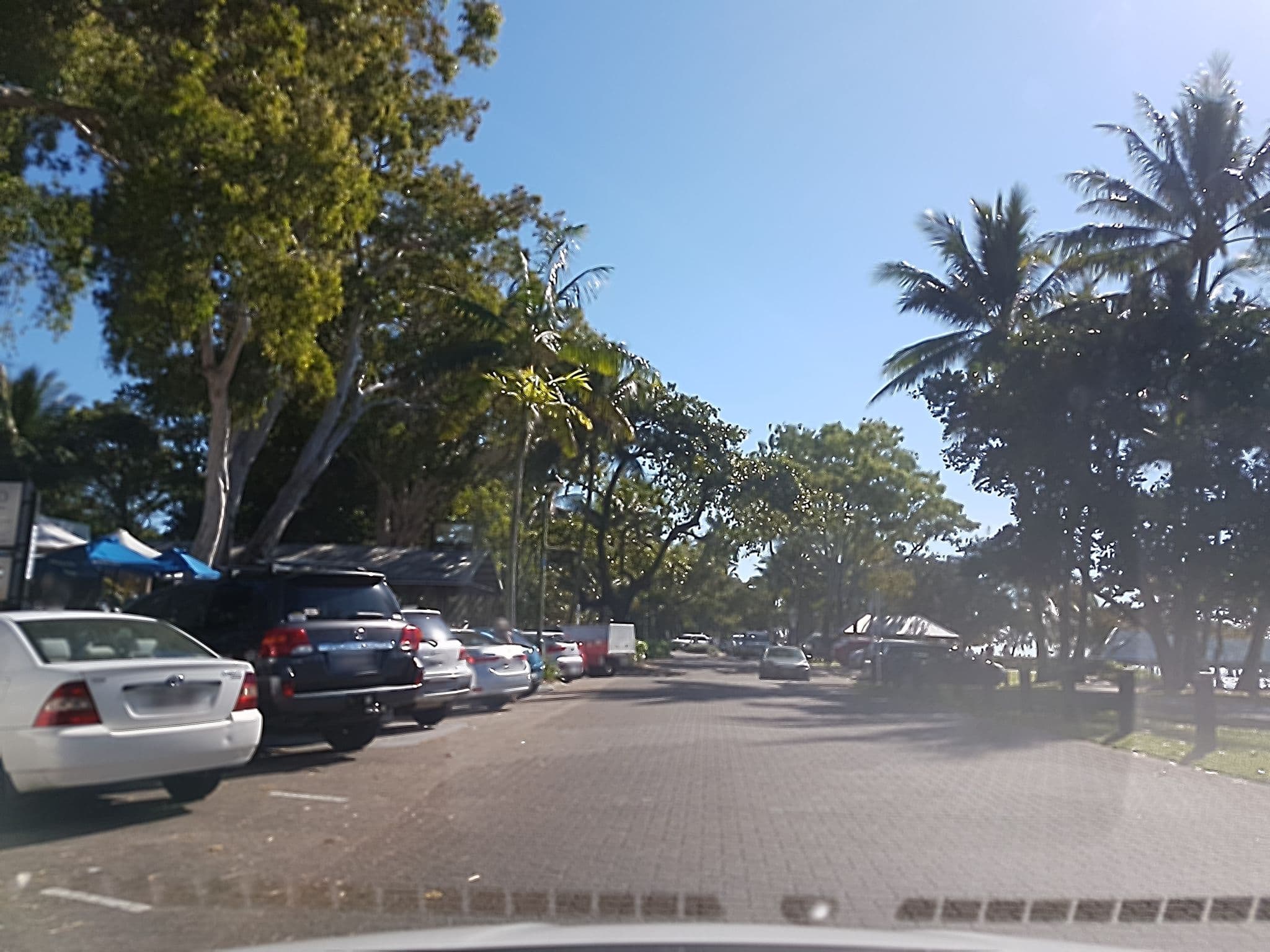 Street view near Coral Horizons, Palm Cove — © stev391 (CC BY-SA · Mapillary)