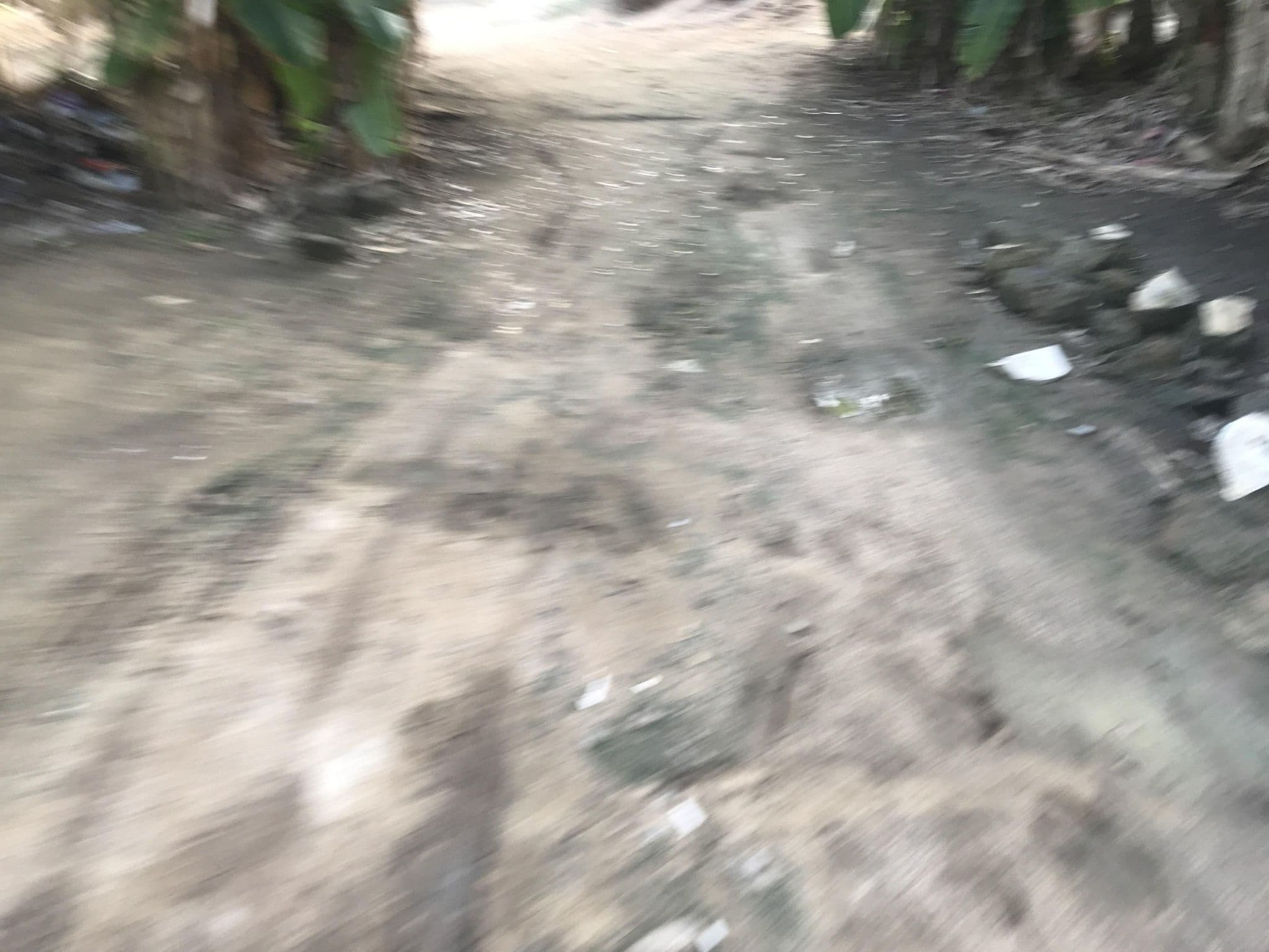 Street view near Godfrey Hostel, Cape Coast