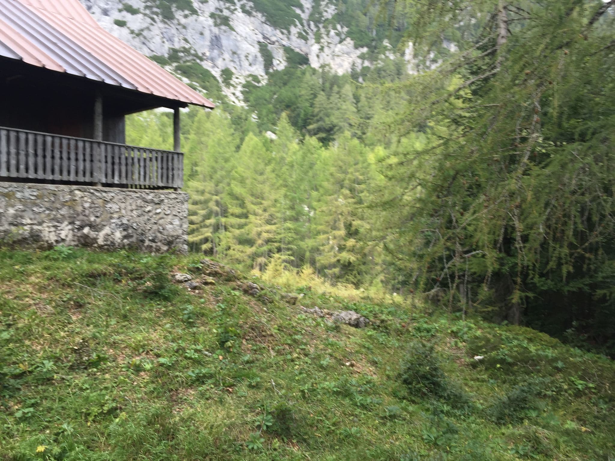 Street view near Capanna Cinque Punte, Tarvisio — © igorzo (CC BY-SA · Mapillary)