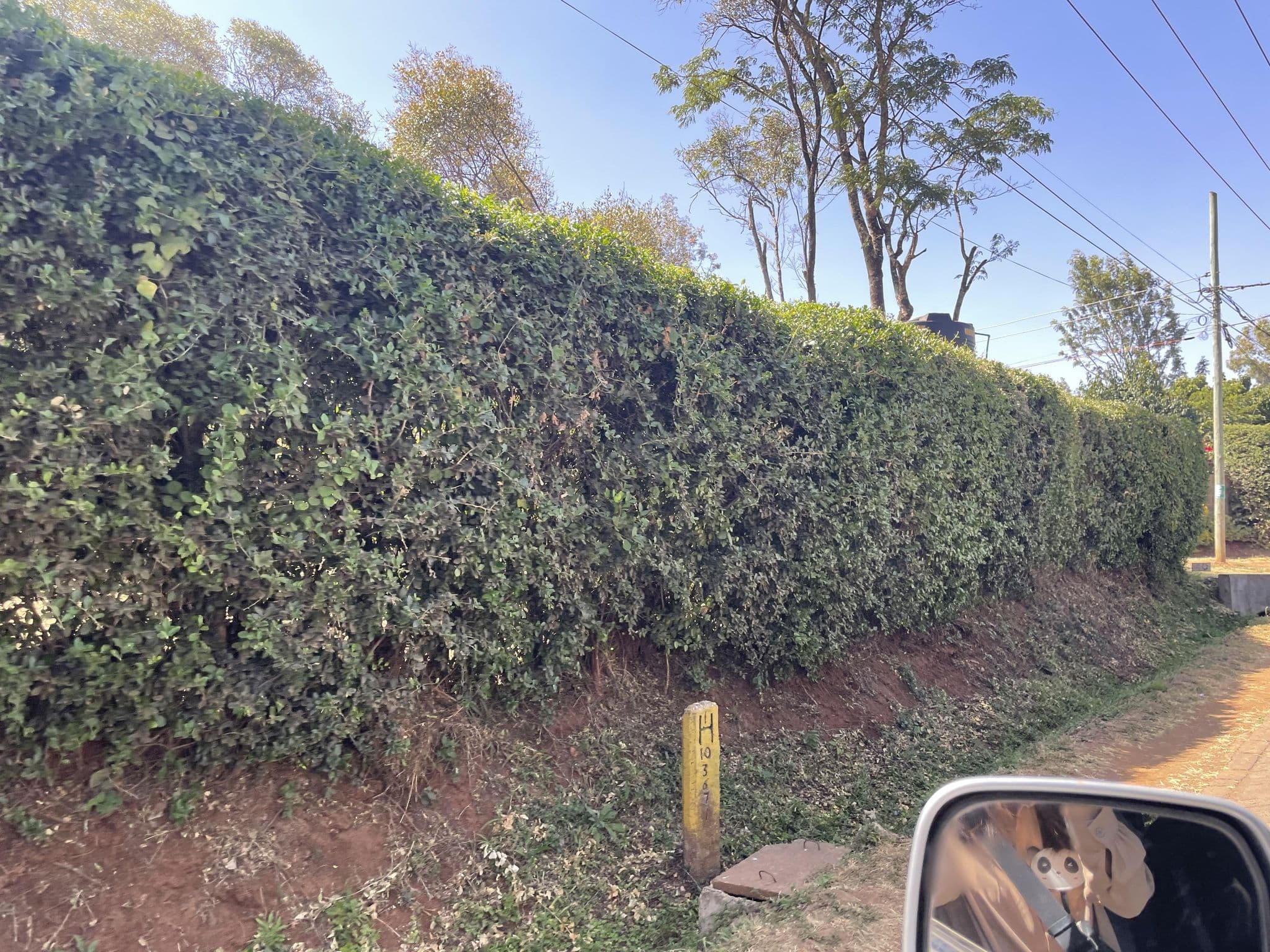 Street view near The Safari Collection, Lang'ata — © ZWL (CC BY-SA · Mapillary)