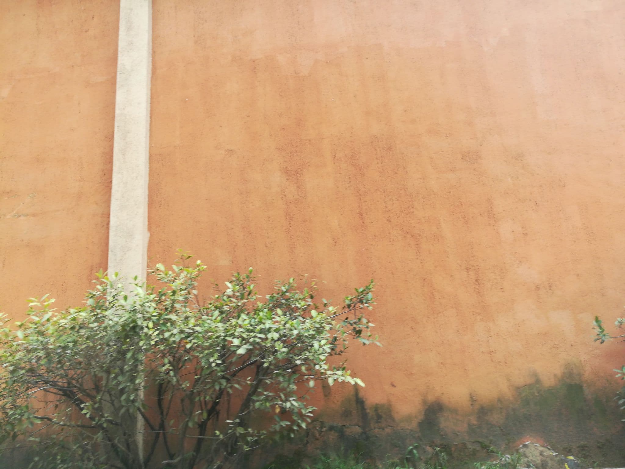Street view near Feligold, Oshodi — © ralebipim (CC BY-SA · Mapillary)