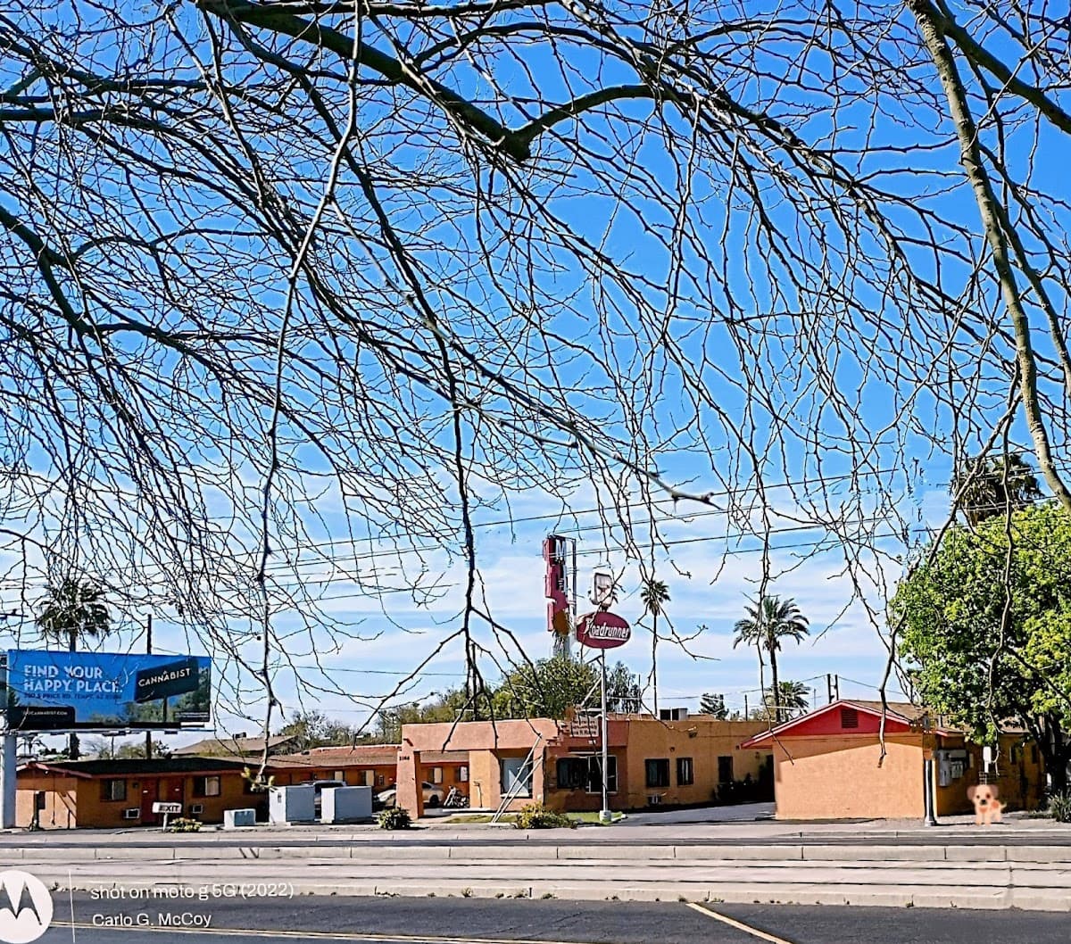 Roadrunner Motel, Motel in Tempe