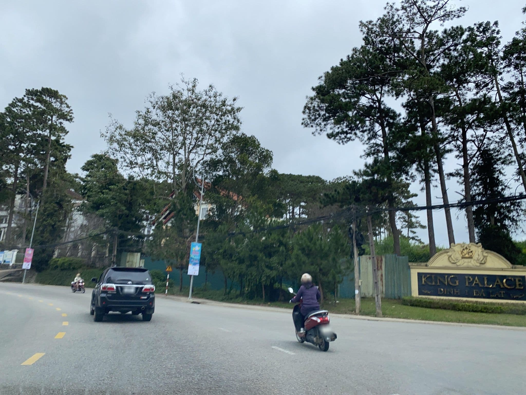Street view near Tổ Chim Homestay, Ðà Lạt