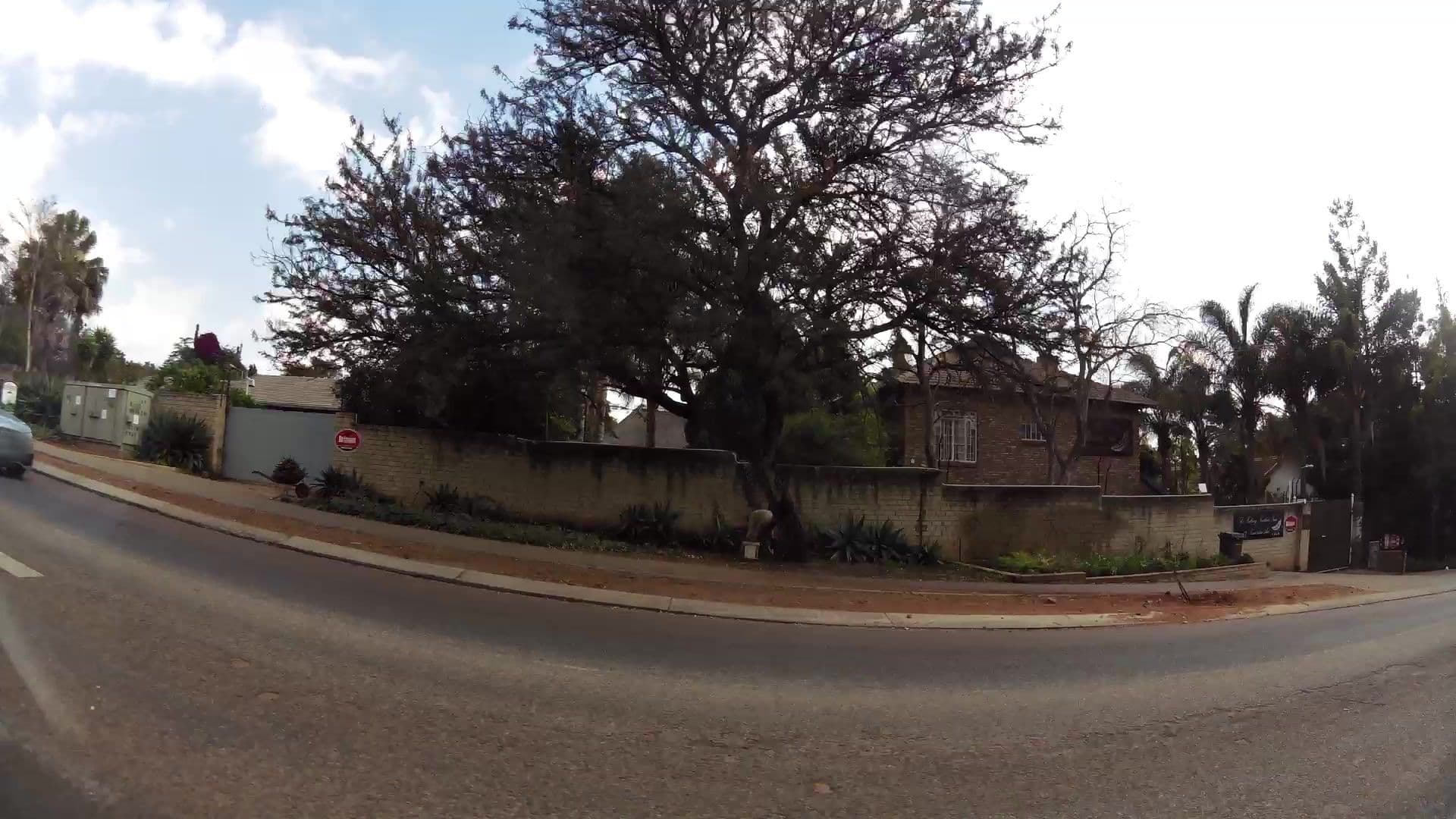 Street view near The Talking Feather, Pretoria