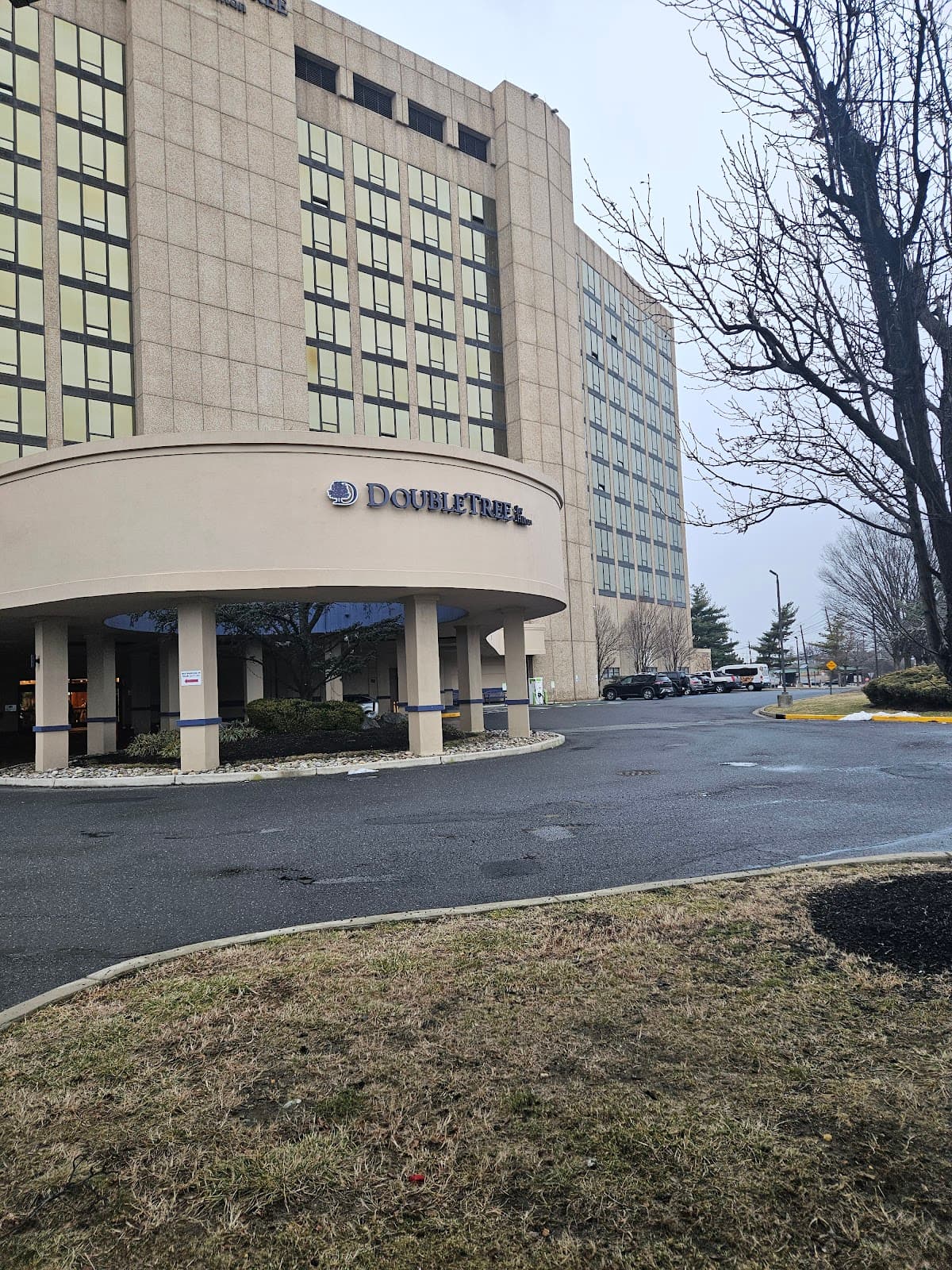 Scenic Hotels Group., Hotel in Collingswood
