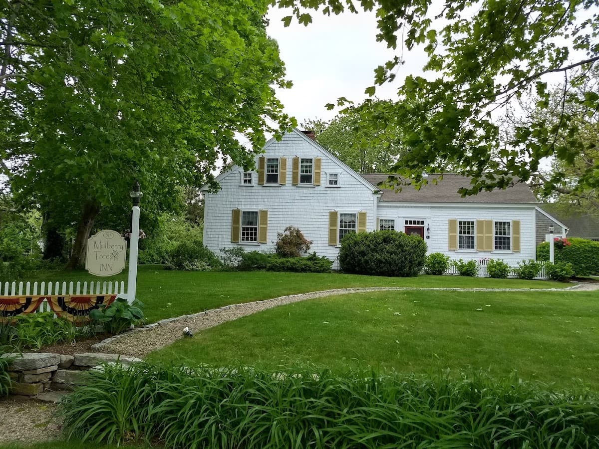 Mulberry Tree Inn, Hotel in South Dennis