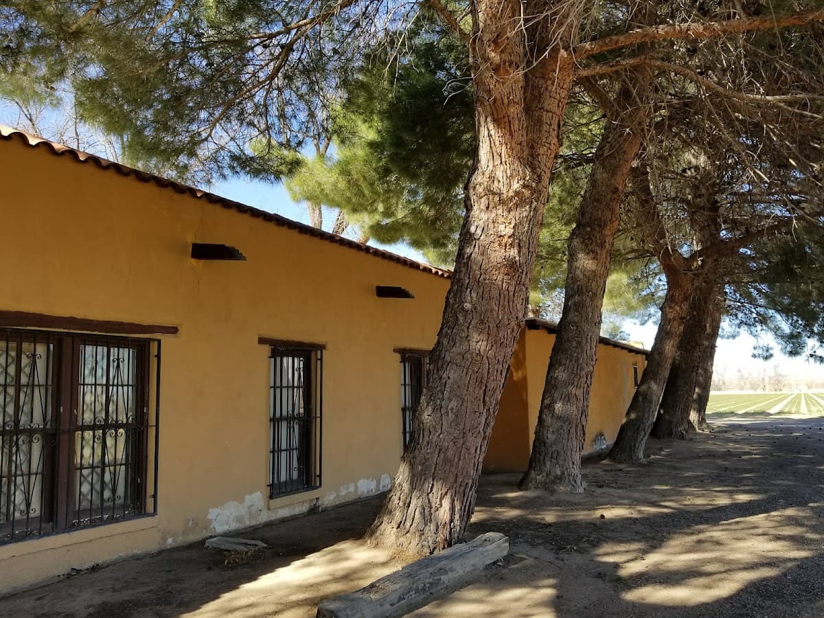 Pelham House, Guesthouse in Hatch