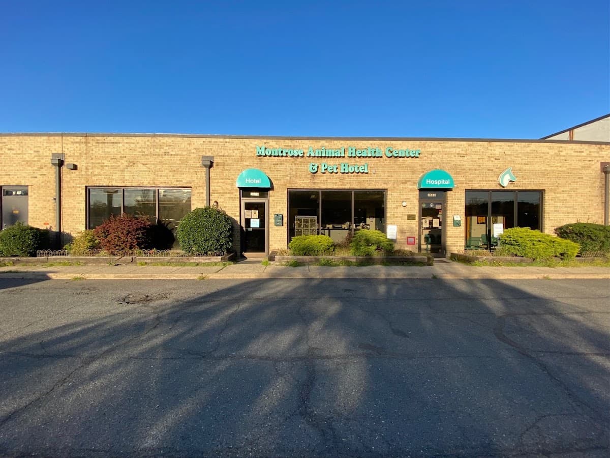 Montrose Pet Hotel, Hotel in Mantua