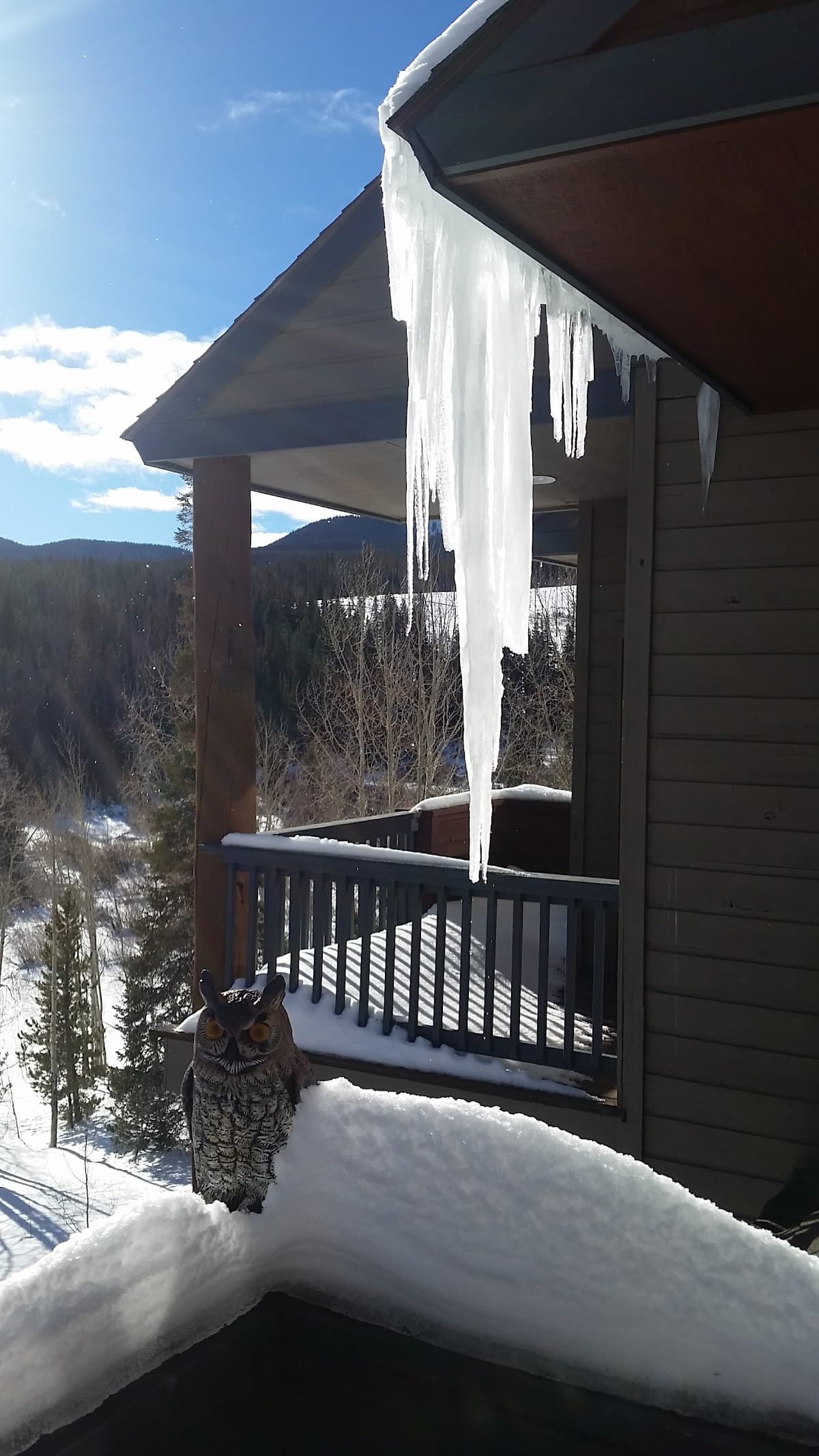 Silverthorne Townhome Nightly Rentals, Hotel in Silverthorne