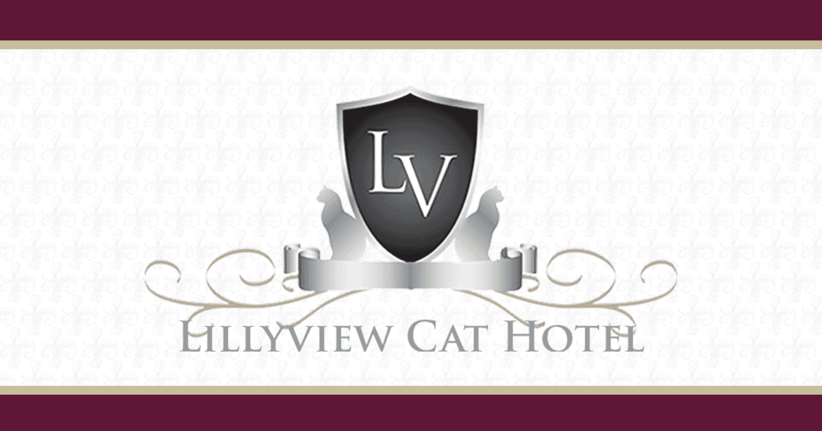 Lillyview Cat Hotel, Sawtry